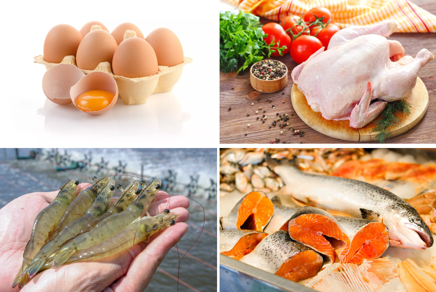 Enhance Animal Health with Lutein Feed Additives