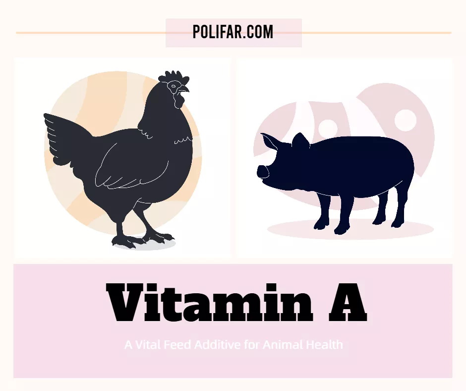 Vitamin A: A Vital Feed Additive for Animal Health