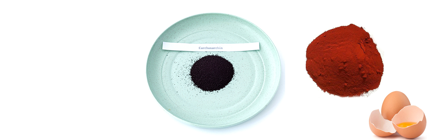 Feed Grade 10% Purity Canthaxanthin Powder for Birds