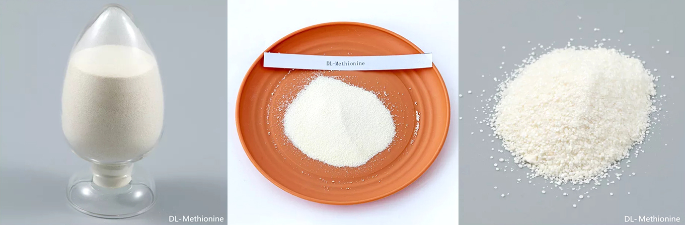 99% Feed Grade DL-Methionine Additive for Poultry
