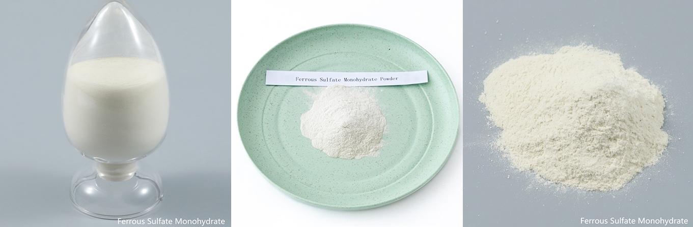 30% Feed Grade Ferrous Sulphate Monohydrate Powder 