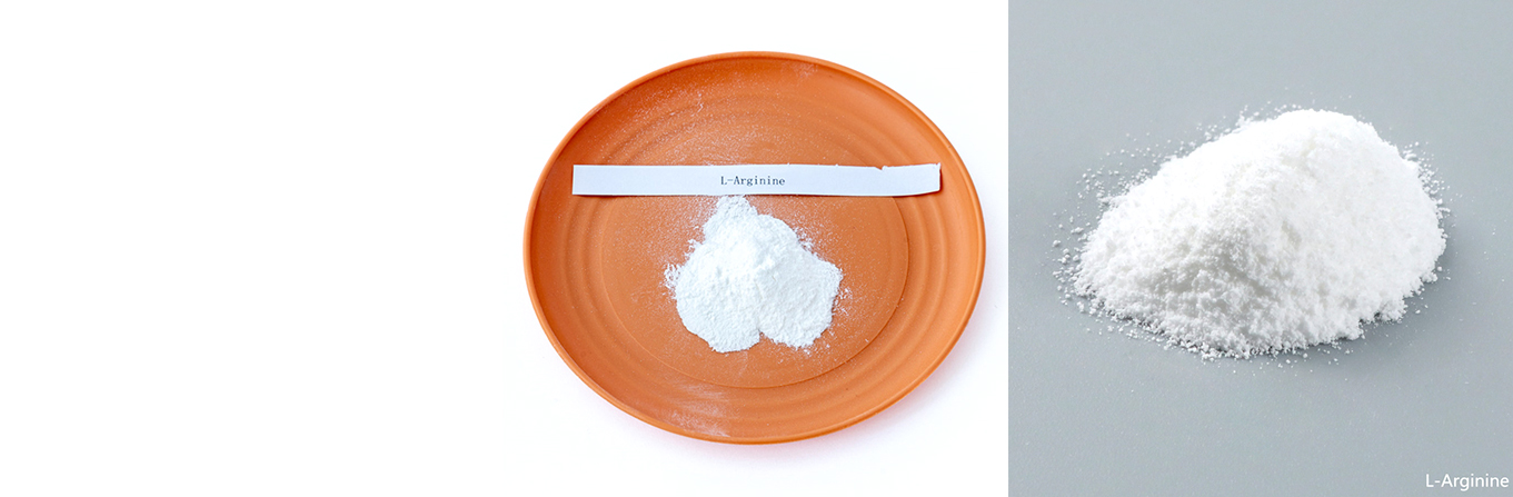 Wholesale 98.5% Feed Grade L-Arginine Powder Supplement