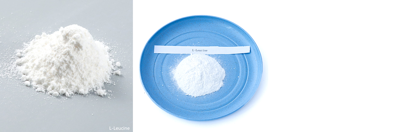 99% Feed Additive L-Leucine Raw Material Powder