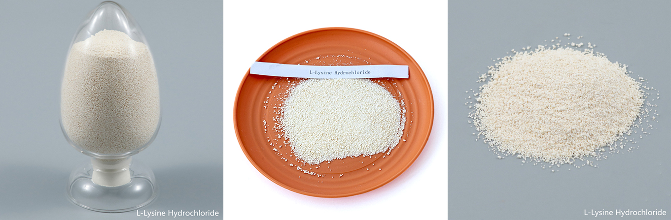 98.5% Feed Grade L-Lysine Hydrochloride Powde