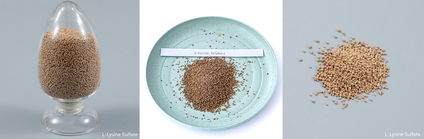 70% Feed Additive Lysine Sulphate Powder
