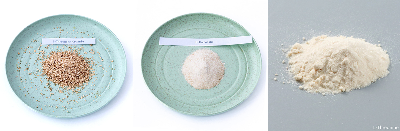 98.5% Feed Grade Additive L-Threonine Granule