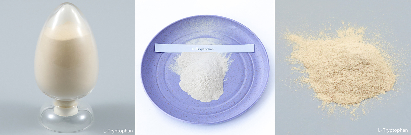 98% Feed Supplement L-Tryptophan for Livestock