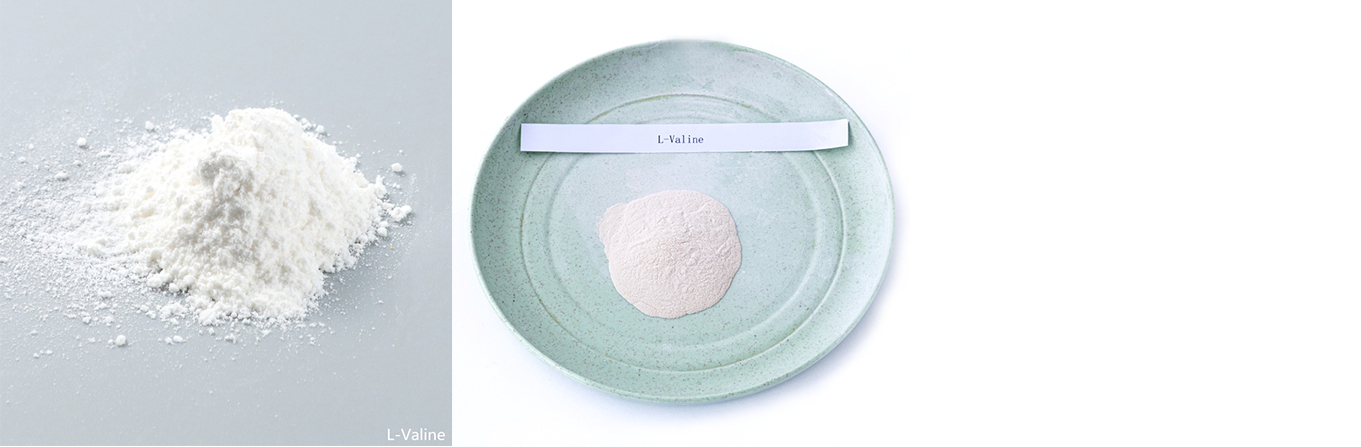98% Feed Additive L-Valine Amino Acid Granule