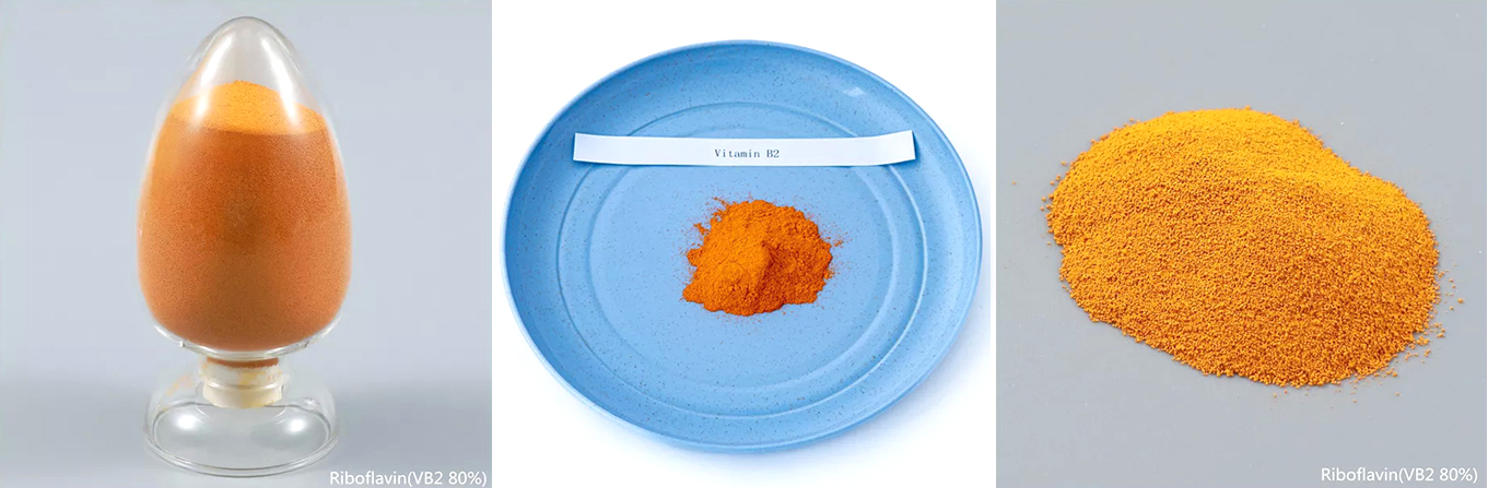 Vitamin B2 Complex Riboflavin Powder for Chickens