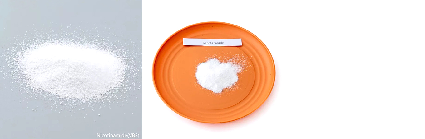 Bulk Vitamin B3 Nicotinamide Powder Supplier