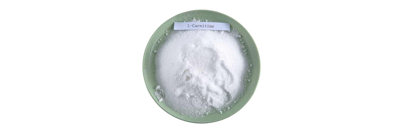 Food Grade Amino Acid Nutritional  L-carnitine