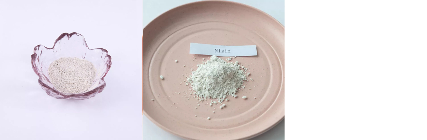 Food Grade E234 Nisin Preservative Powder CAS 1414-45-5