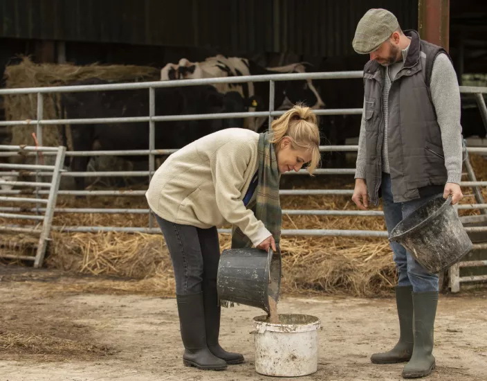 Deciphering Feed Premixes