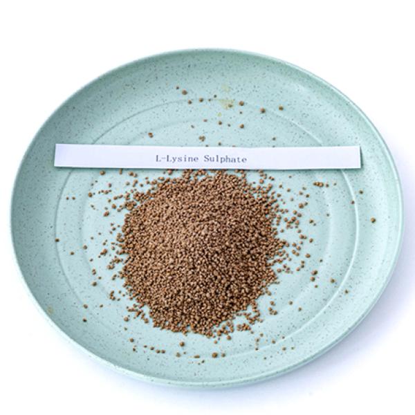 70% Feed Additive Lysine Sulphate Powder