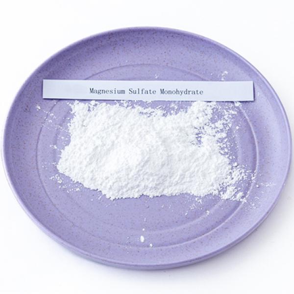 Feed Grade Bulk Magnesium Sulfate Monohydrate Powder 