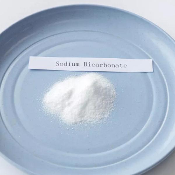 Food Grade E500 Sodium Bicarbonate Powder 50 LB Bag